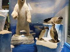 -国家自然博物馆