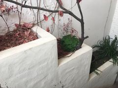 -無用生活空间(北京店)