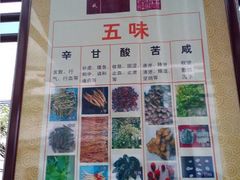 -广州神农草堂中医药博物馆