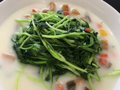 -荣公子创意菜