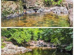-银瓶山森林公园(谢岗镇)