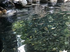 -厦门日月谷温泉渡假村