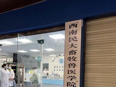 -成都民大动物医院