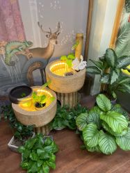 点击看大图 -苗方清颜·祛痘皮肤管理