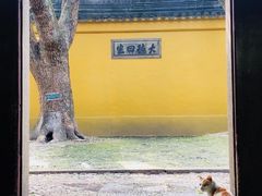 -西园戒幢律寺