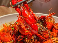 -京B·东篱精酿啤酒音乐餐厅