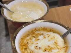 -古树酸奶(八廓南街店)