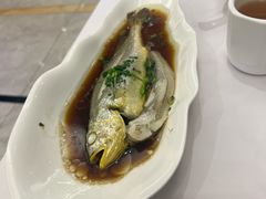 -骏莱海鲜鱼港(五角场店)