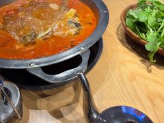 -老凯俚酸汤鱼(多彩城店)