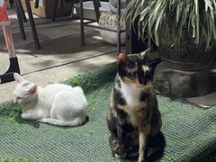 -坂田手造文化街