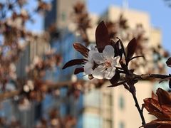 -新天世纪中餐厅