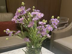 -同庆楼(奥体中心店)