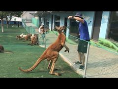 -西霞口神雕山野生动物世界