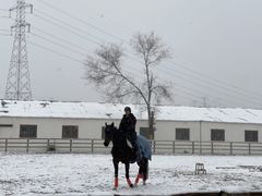 -北京群众马术培训基地
