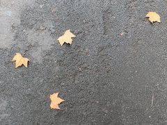 -项记面馆(明瓦廊店)