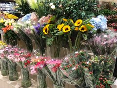 -AEON永旺(东方宝泰店)