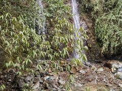 -西岭雪山大飞水景区
