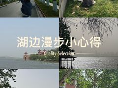 -东湖落雁景区