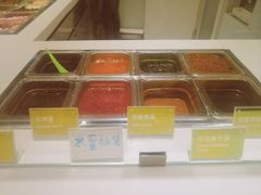 -Salud撒露欧洲冻酸奶(北苑上品店)