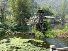 -靖西鹅泉风景区