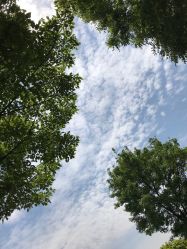-珍珠泉水上世界