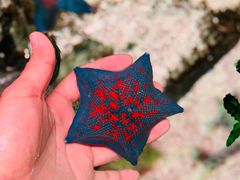 -沈阳海洋探索中心