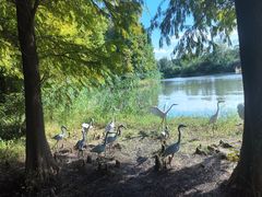 -溱湖国家湿地公园