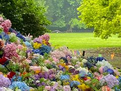 -上海共青森林公园