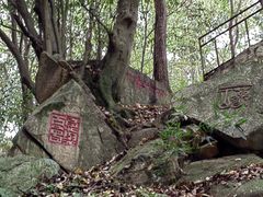-波尔登森林公园