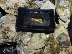 -烧蠔帮·生蚝海鲜牌档(观海店)