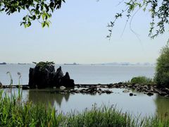 -上海吴淞炮台湾国家湿地公园
