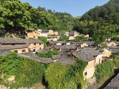 -杨家堂村