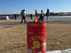 -春花秋色城市公园