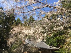 -醍醐寺