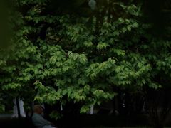 -南京航空航天大学(明故宫校区)