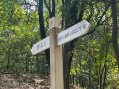 -火炉山森林公园