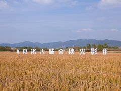 -良渚古城遗址公园