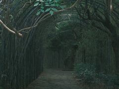-东海大峡谷