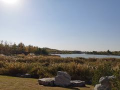 -马家湾湿地公园