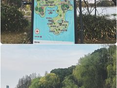 -金鸡湖桃花岛