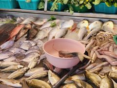 -长平老姿娘夜粥(平东一街店)
