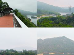 -香山湖公园