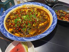 -新概念来凤鱼(璧山店)