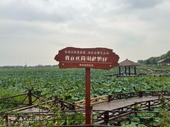 -焦岗湖旅游度假区
