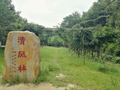 -田心森林公园