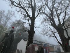-九华山风景区