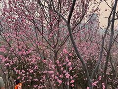 -南翠屏公园