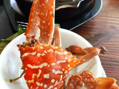 -张家卫·阳江菜·小海鲜(肥婆湾桥店)