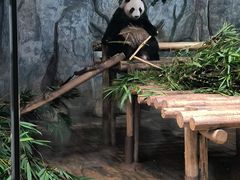 -深圳野生动物园