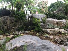 -东莞植物园